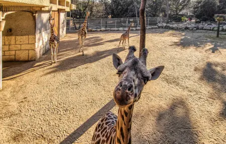 Location Maison 6 personnes à Médis - Photo 30