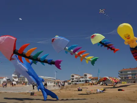 Appartement face à l'océan avec terrasse - 5 pers, proche plage et activités, Notre-Dame-de-Monts - Photo 12