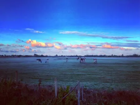 Notre-Dame-de-Monts - Appartement rénové - 6 pers, accès plage - Animaux admis - Parking - Photo 19