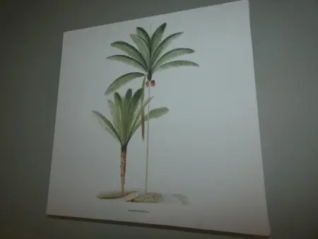 Maison de vacances avec grand jardin et proche plage, 6 pers, chiens bienvenus - Photo 24