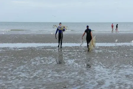 Meidoorn 1-3 g, Appartement 5 personnes à Sint Idesbald - Photo 26
