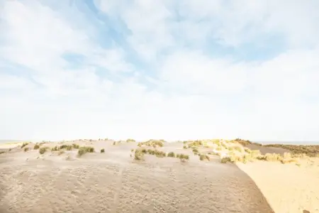 Manderley 204, Appartement 4 personnes à Oostduinkerke - Photo 15