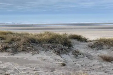 Manderley 204, Appartement 4 personnes à Oostduinkerke - Photo 19