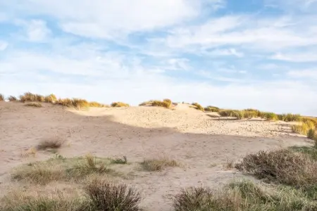 Manderley 204, Appartement 4 personnes à Oostduinkerke - Photo 29