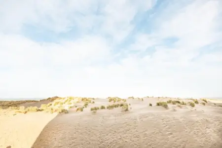 Manderley 204, Appartement 4 personnes à Oostduinkerke - Photo 39