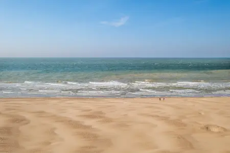 Triton 502, Appartement 6 personnes à Koksijde - Photo 35