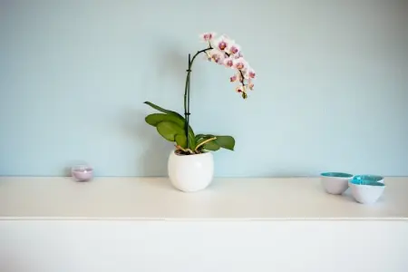 Triton 502, Appartement 6 personnes à Koksijde - Photo 38