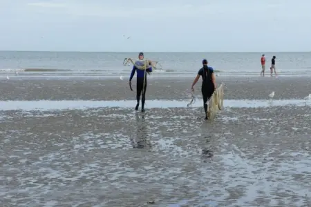 Hortensia, Villa 6 personnes à Koksijde - Photo 23