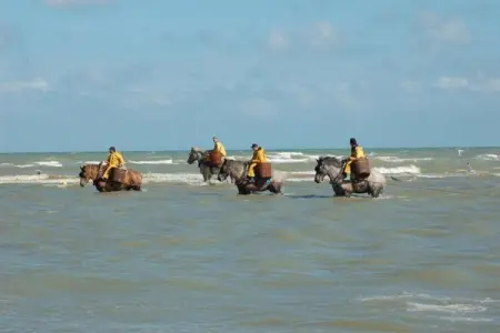 Koetje Boe, Villa 8 personnes à Koksijde - Photo 21