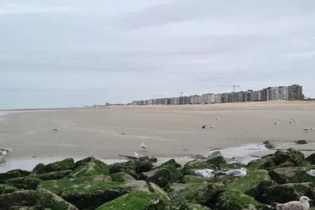 Koetje Boe, Villa 8 personnes à Koksijde - Photo 30