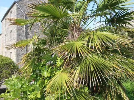 Grande maison en pierre avec jardin et WiFi à Les Pieux - Photo 13