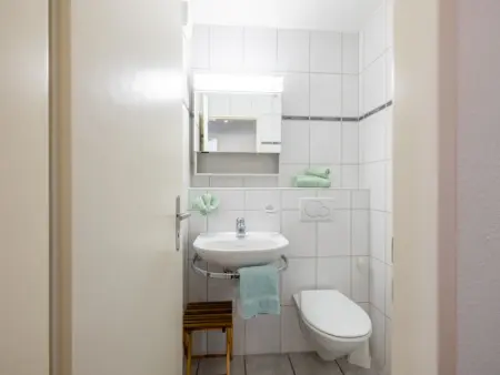 Ferienwohnung HÄMMIG, Appartement 5 personnes à Scuol - Photo 21