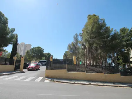 Pintor Sorolla, Appartement 4 personnes à Benidorm - Photo 23