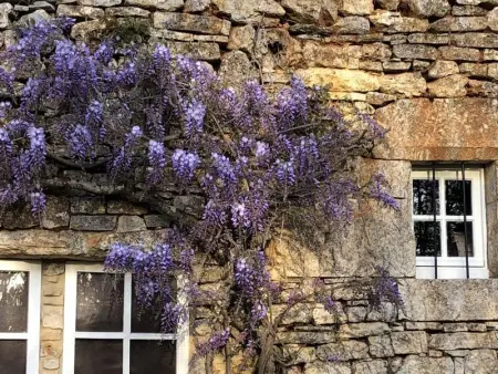 Les Follets, Maison 2 personnes à Daglan - Photo 14