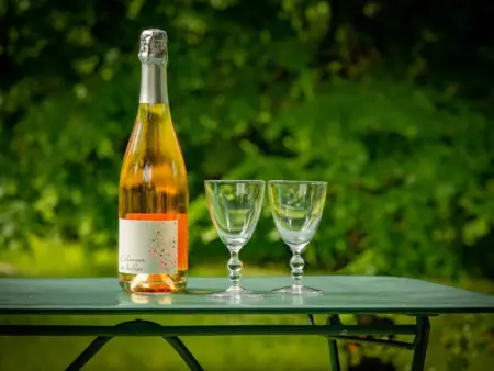 Les Follets, Maison 2 personnes à Daglan - Photo 35