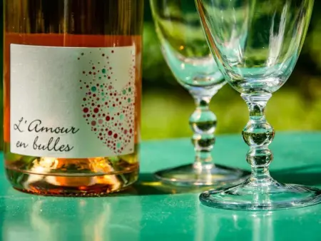 Les Follets, Maison 2 personnes à Daglan - Photo 36