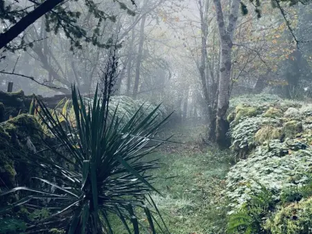 Les Follets, Maison 2 personnes à Daglan - Photo 40