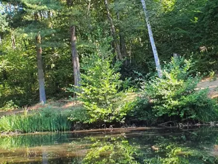 Écrin de Verdure à Châtel-Montagne pour Déconnexion Romantique - Photo 19