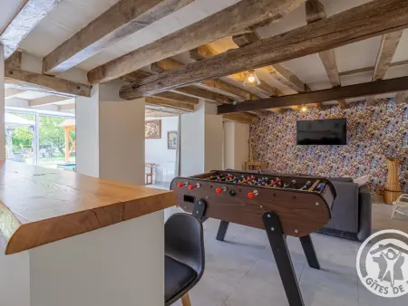 Gîte de groupe avec salle de jeux, jardin 4000m², proche forêt de Chandelais et Zoo de la Flèche - Photo 19