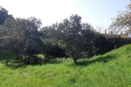 Resort Begur 4, Tente 5 personnes à Begur   Girona - Photo 12