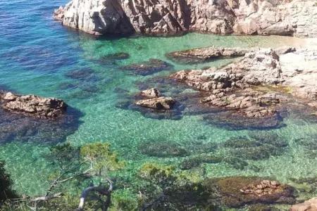 Resort Begur 4, Tente 5 personnes à Begur   Girona - Photo 28