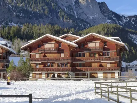 Studio Schweizerhof, Appartement 2 personnes à Kandersteg - Photo 1