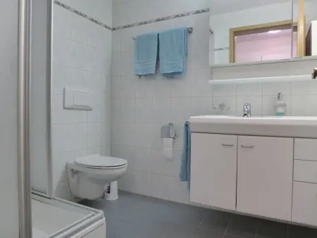 Studio Schweizerhof, Appartement 2 personnes à Kandersteg - Photo 11