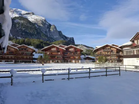 Studio Schweizerhof, Appartement 2 personnes à Kandersteg - Photo 16