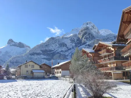 Studio Schweizerhof, Appartement 2 personnes à Kandersteg - Photo 17