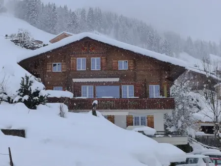 Chalet Seeberg, Chalet 4 personnes à Lenk - Photo 1