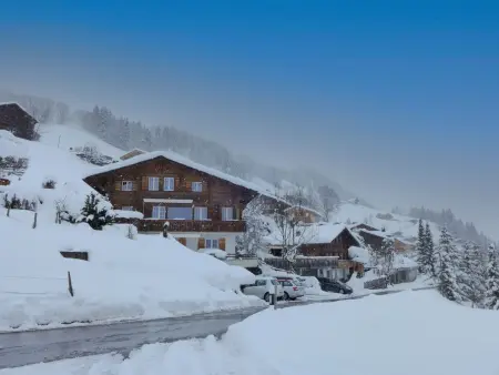 Chalet Seeberg, Chalet 4 personnes à Lenk - Photo 23