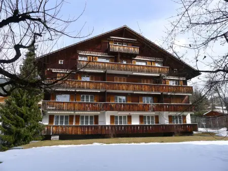 Suzanne Nr. 21, Appartement 2 personnes à Schönried - Photo 1
