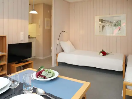 Suzanne Nr. 21, Appartement 2 personnes à Schönried - Photo 5