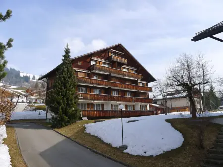 Arlette Nr. 34, Appartement 2 personnes à Schönried - Photo 1