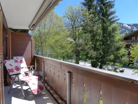 Arlette Nr. 34, Appartement 2 personnes à Schönried - Photo 2