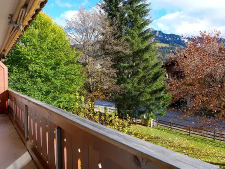 Arlette Nr. 34, Appartement 2 personnes à Schönried - Photo 17