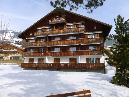 Monique Nr. 9, Appartement 3 personnes à Schönried - Photo 1