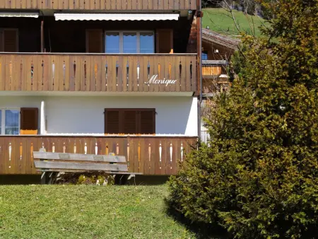 Monique Nr. 9, Appartement 3 personnes à Schönried - Photo 22