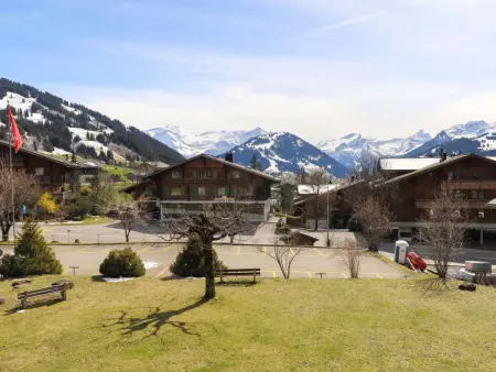 Monique Nr. 9, Appartement 3 personnes à Schönried - Photo 23