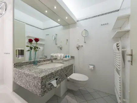 Standard, Dorint Blümlisalp, Appartement 2 personnes à Beatenberg - Photo 6