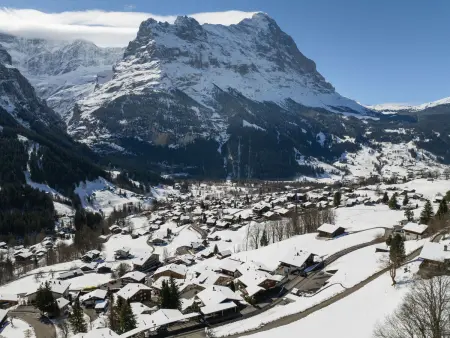 Chalet Abendrot apARTments, Appartement 2 personnes à Grindelwald - Photo 39