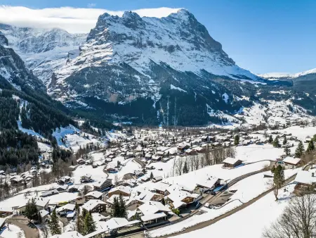 Chalet Abendrot apARTments, Appartement 4 personnes à Grindelwald - Photo 23