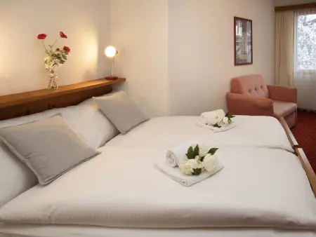 Chalet Abendrot apARTments, Appartement 4 personnes à Grindelwald - Photo 15