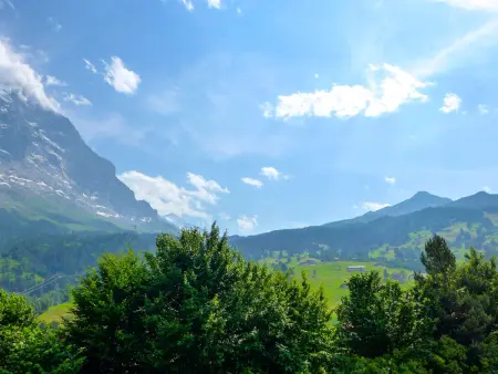 Strassscheuer, Appartement 4 personnes à Grindelwald - Photo 20