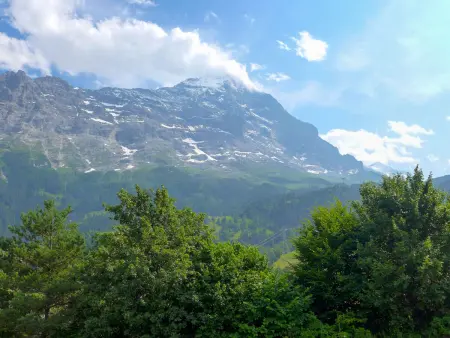 Strassscheuer, Appartement 4 personnes à Grindelwald - Photo 23