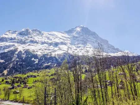 Chalet Eiger, Appartement 6 personnes à Grindelwald - Photo 27