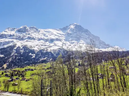 Chalet Eiger, Appartement 6 personnes à Grindelwald - Photo 25