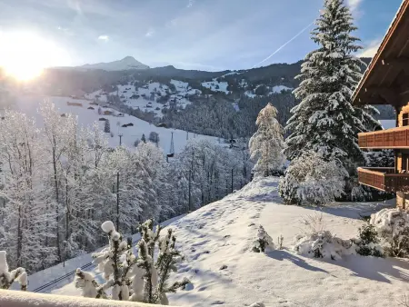 Chalet Eiger, Appartement 6 personnes à Grindelwald - Photo 27
