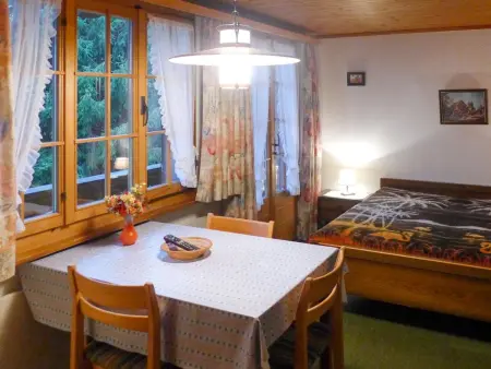 Chalet Marie Rosa, Appartement 3 personnes à Grindelwald - Photo 9