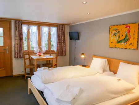 Schwendihus, Appartement 2 personnes à Grindelwald - Photo 6